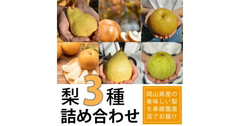 【ふるさと納税】岡山県産 梨好きに贈る、旬の梨3種詰め合わせ ご家庭用 5-7玉入【1396599】