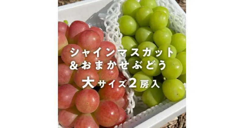 【ふるさと納税】岡山県産 きよとうのシャインマスカット&生産者いちおし葡萄 大サイズ2房入【配送不可地域：離島】【1457574】