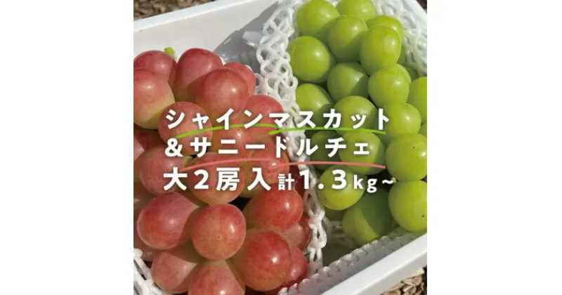 【ふるさと納税】岡山県産 大粒のシャインマスカット&サニードルチェ 大サイズ2房入/計1.3kg～【配送不可地域：離島】【1465540】