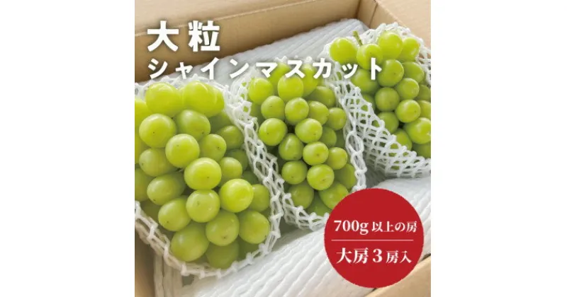 【ふるさと納税】岡山県産 【数量限定】きよとう自慢の大粒で大房のシャインマスカット 大サイズ3房入 各700g～【配送不可地域：離島】【1465541】