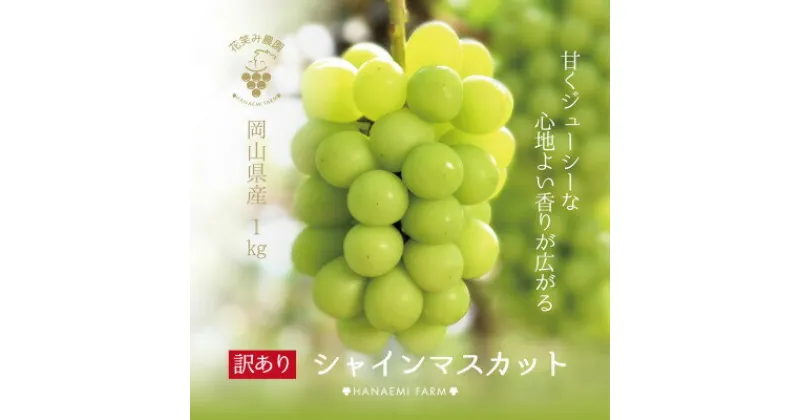 【ふるさと納税】【岡山県産】花笑み農園の 『訳ありシャインマスカット』1kg　WS-1【9月中旬～順次発送】【配送不可地域：離島】【1491586】