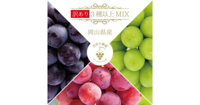 【ふるさと納税】【岡山県産】花笑み農園のブドウ『訳あり3種以上MIX』 1kg　W3M-1【9月中旬～順次発送】【配送不可地域：離島】【1492135】