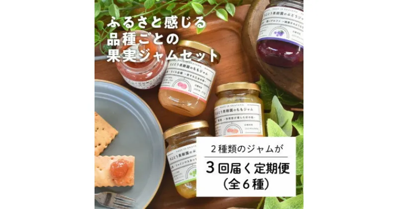 【ふるさと納税】【毎月定期便】果樹園こだわりの果実ジャムの3回便(定期便)全3回【4054323】