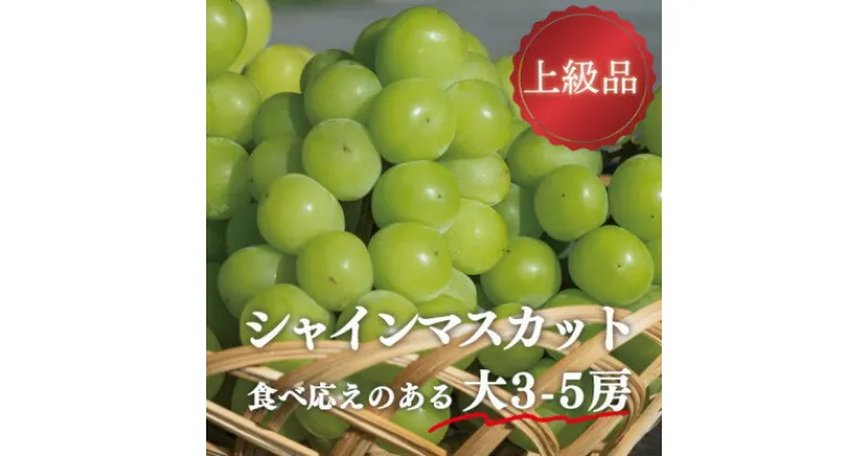 【ふるさと納税】岡山県産 きよとうのこだわりのシャインマスカット 上級品 大3-5房【配送不可地域：離島】【1535990】