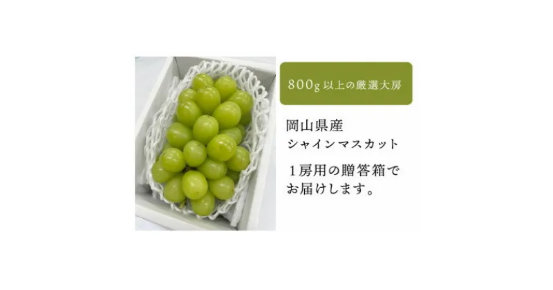 【ふるさと納税】岡山県産 【数量限定】きよとうのこだわりのシャインマスカット 大サイズ 1房800g～【配送不可地域：離島】【1546638】