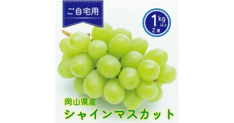 【ふるさと納税】岡山県真庭市産　シャインマスカット　【ご自宅用】　1kg(2房)【配送不可地域：離島】【1549544】