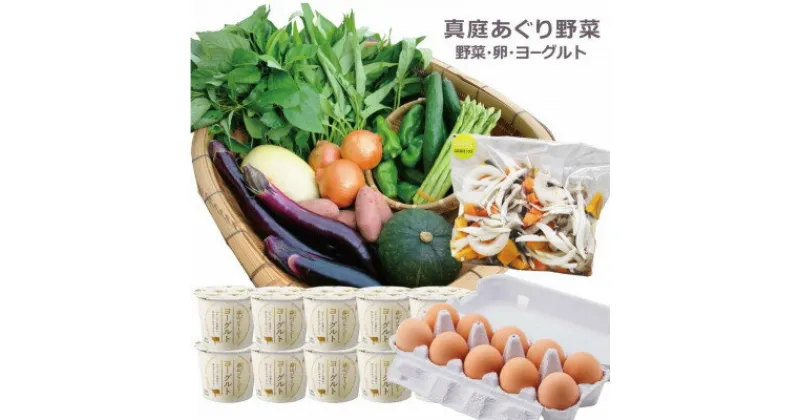 【ふるさと納税】真庭あぐり野菜セット 野菜10品・卵・ヨーグルト【配送不可地域：離島・北海道・沖縄県】【1549456】