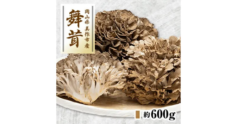 【ふるさと納税】舞茸　約600g【配送不可地域：離島】【1154814】