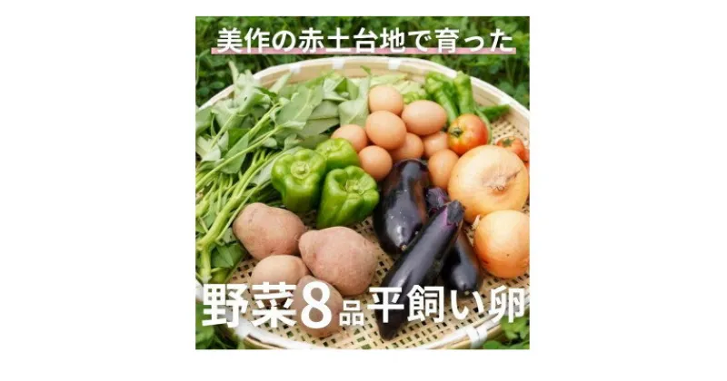 【ふるさと納税】【畑から直送】味覚を育む旬の野菜約8種と自然卵10コ入り【配送不可地域：離島】【1483988】