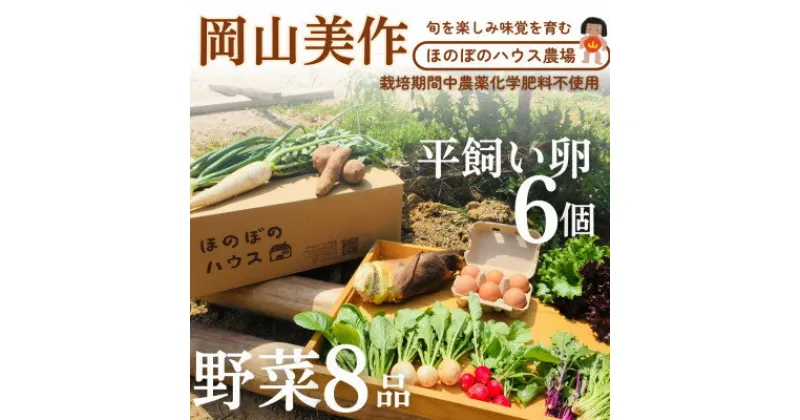 【ふるさと納税】岡山美作の赤土台地でじっくり育てた季節の野菜約8種類と平飼い卵(6個入り)のセットです。【配送不可地域：離島】【1530200】