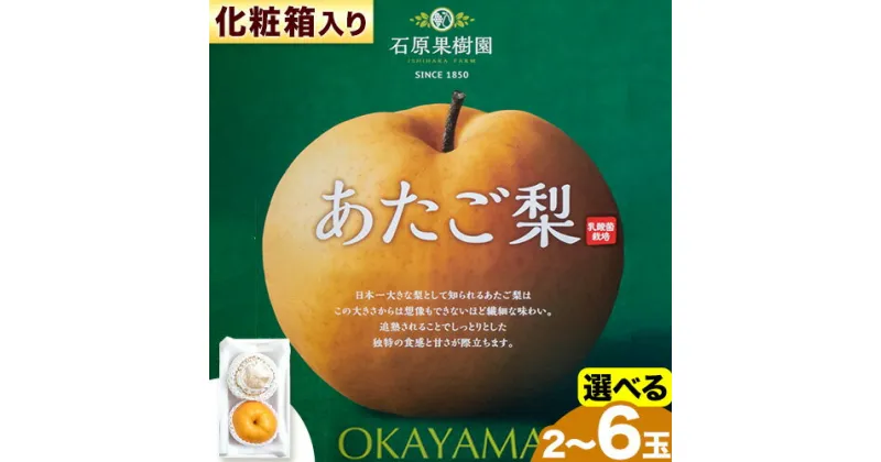 【ふるさと納税】【2024年先行予約】あたご 梨 選べる内容量 化粧箱 石原果樹園 《2024年11月下旬-12月下旬頃より発送予定》岡山県 浅口市 フルーツ 果物 ギフト 贈り物 国産 岡山県産 送料無料