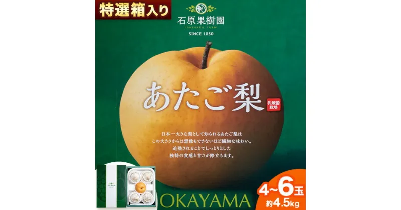 【ふるさと納税】【2024年先行予約】梨 あたご梨 4 から 6玉 計4.5kg 特選箱 石原果樹園 《2024年11月下旬-12月下旬頃より発送予定》岡山県 浅口市 フルーツ 果物 ギフト 贈り物 国産 岡山県産 送料無料