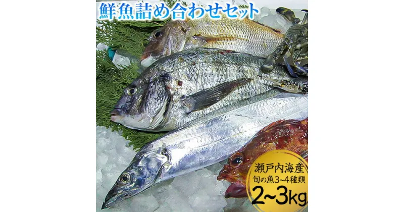 【ふるさと納税】鮮魚詰め合わせセット 旬の魚3~4種類 2~3kg 株式会社マルキ寄島魚市場《30日以内に出荷予定(土日祝除く)》岡山県 浅口市 瀬戸内海産 海鮮【配送不可地域あり】