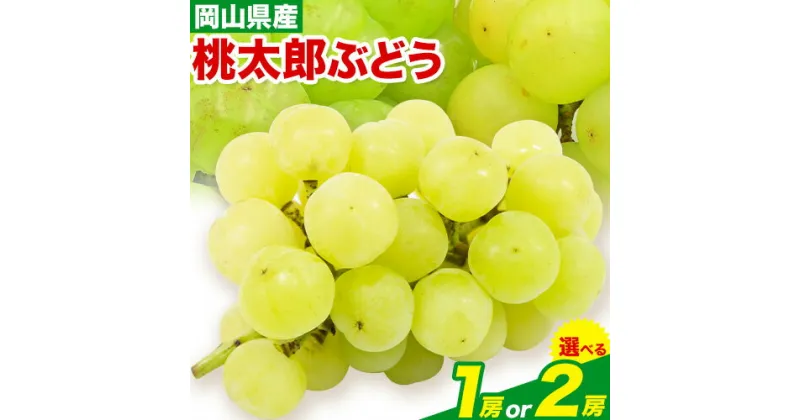 【ふるさと納税】【令和7年度先行予約】桃太郎ぶどう 1房 700g 2房 480g × 2 ウィズフラワーホールディングス《2025年8月下旬-10月中旬頃出荷》岡山県 浅口市 ぶどう フルーツ 旬 果物 国産 岡山県産 送料無料 冷蔵【配送不可地域あり】