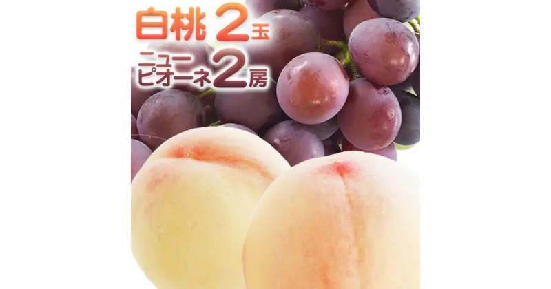 【ふるさと納税】【令和7年度先行予約】詰合 白桃 1玉220g以上 2玉・ニューピオーネ 1房480g以上 2房 化粧箱入り 株式会社山博(中本青果)《2025年7月下旬-8中旬頃出荷》岡山県 浅口市 ぶどう フルーツ ギフト 贈答用 旬 果物 国産 岡山県産 送料無料【配送不可地域あり】