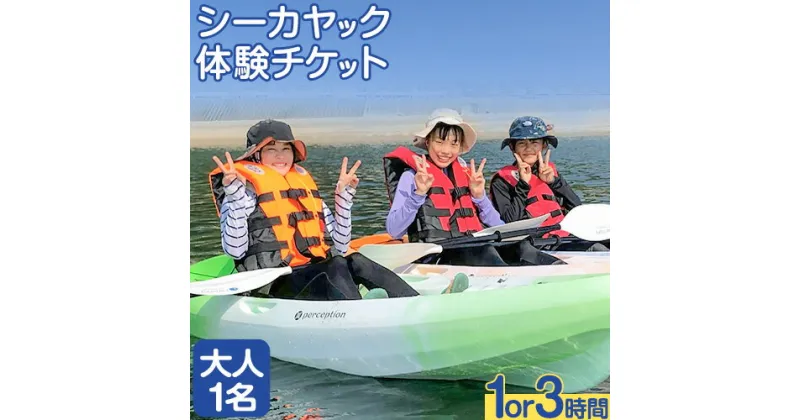 【ふるさと納税】シーカヤックチケット 大人1名 選べる体験時間 1時間 3時間 NPO法人あさくちスポーツクラブ遊ぶところ《90日以内に発送予定(土日祝除く)》岡山県 浅口市 シーカヤック カヤック 体験 大人 チケット 海