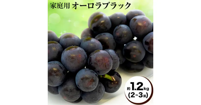 【ふるさと納税】【2025年先行予約】ご家庭用 岡山県産 オーロラブラック 約1.2kg 2～3房 晴れの国 おかやま館(つむぐ株式会社)《2025年8月下旬-10月中旬頃出荷》岡山県 浅口市 マスカット ぶどう 葡萄 果物 フルーツ 送料無料【配送不可地域あり】