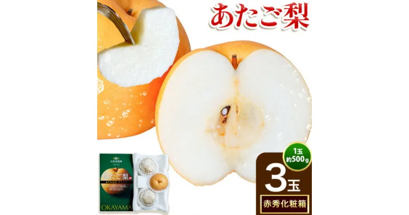 【ふるさと納税】梨 なし ナシ あたご梨 約500g×3玉 化粧箱 赤秀化粧箱 石原果樹園 《11月下旬-12月下旬頃より発送予定》岡山県 浅口市 フルーツ 果物 ギフト 贈り物 国産 岡山県産 送料無料