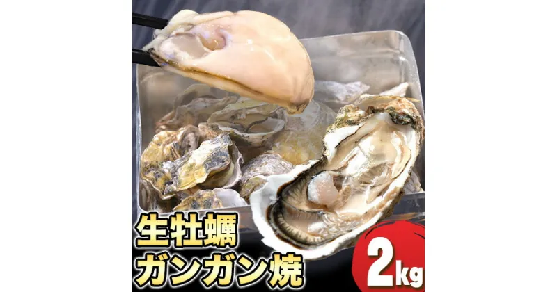 【ふるさと納税】殻付き生牡蠣 ガンガン焼きL2kgセット(牡蠣ナイフ付き)加熱用 寄島町漁業協同組合《2025年2月上旬-4月中旬頃出荷》岡山県 浅口市 牡蠣 かき ガンガン焼き 海鮮 冷蔵 送料無料【配送不可地域あり】