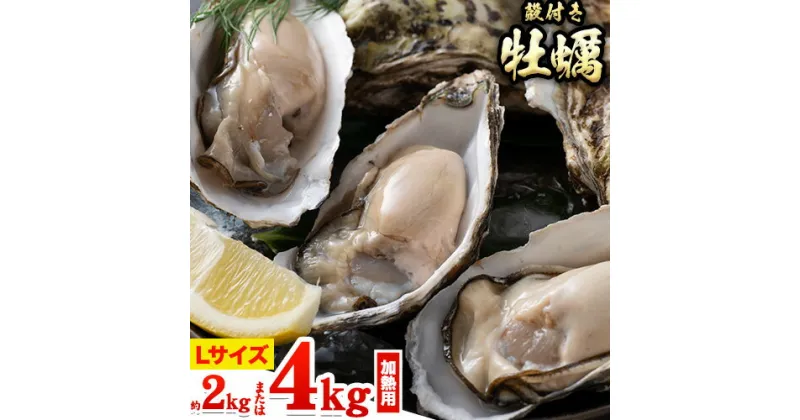 【ふるさと納税】 【先行予約】牡蠣 殻付き 牡蠣 Lナイフ レシピセット 加熱用 選べる 2kg or 4kg 寄島町漁業協同組合《2025年2月上旬‐4月中旬頃発送予定》岡山県 浅口市 海鮮 かき 牡蠣 岡山県寄島産 カキ 鍋 牡蠣鍋 バーベキュー BBQ カキフライ 【離島配送不可】