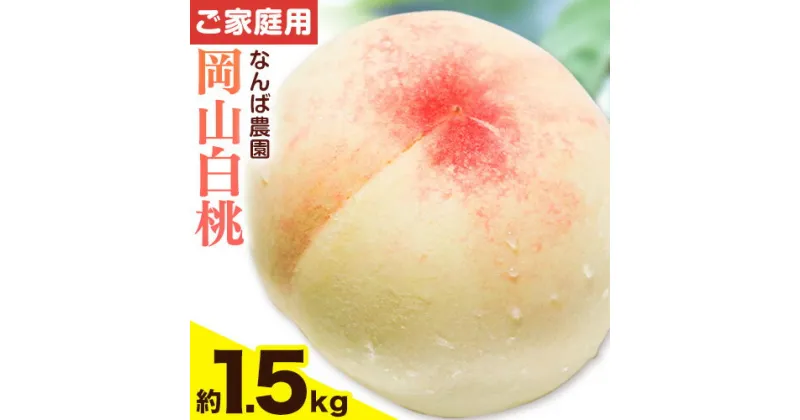 【ふるさと納税】 【令和7年度先行予約】ご家庭用 岡山白桃 約1.5kg ( 6玉 前後 ) 《2025年6月中旬-8月下旬頃出荷》なんば農園 岡山県 浅口市 フルーツ モモ 果物 青果 旬 白桃 桃 訳アリ わけあり 訳あり 【配送不可地域あり】