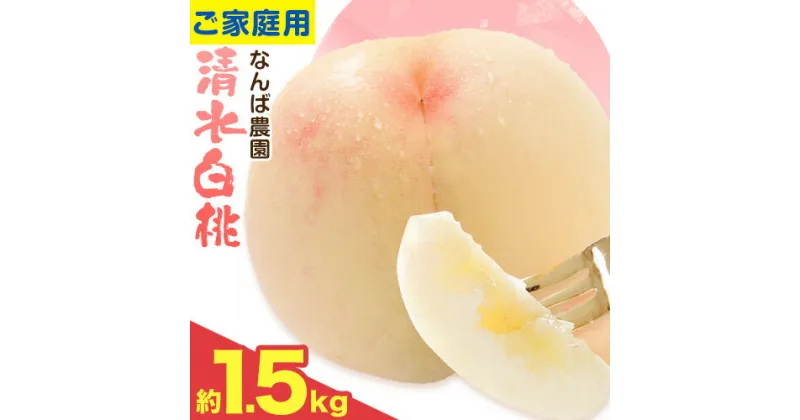 【ふるさと納税】 【令和7年度先行予約】ご家庭用 清水白桃 約1.5kg ( 6玉 前後 ) 《2025年7月上旬-8月中旬頃出荷》なんば農園 岡山県 浅口市 フルーツ モモ 果物 青果 旬 白桃 桃 訳アリ わけあり 訳あり【配送不可地域あり】