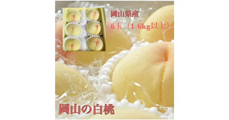 【ふるさと納税】【令和7年発送・先行予約】岡山県産　白桃6玉（合計1.6kg以上）化粧箱入り　rr-100　※北海道・沖縄県・離島への配送はできません。