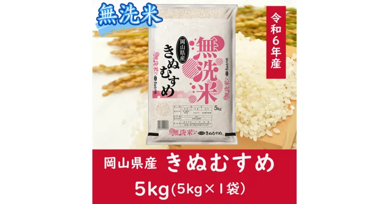 【ふるさと納税】 お米　きぬむすめ　【無洗米】岡山県産きぬむすめ100%（令和6年産）5kg　CC-119