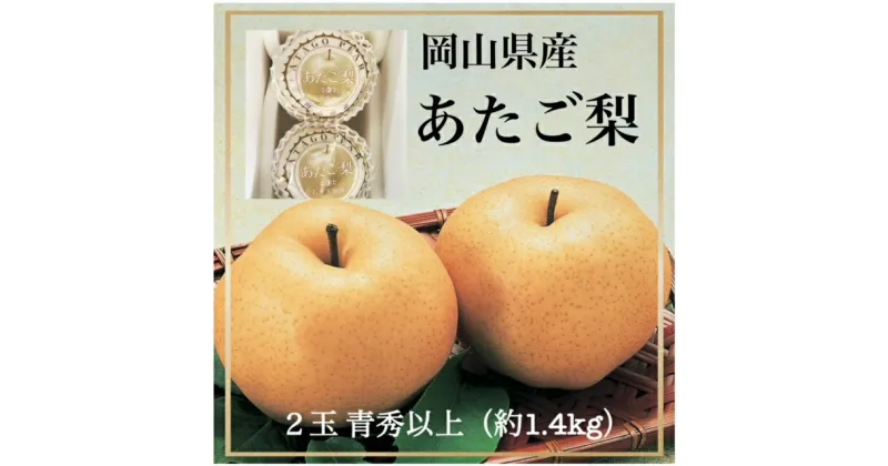 【ふるさと納税】岡山県産　あたご梨2玉　青秀以上（約1.4kg）化粧箱入り　TT-113