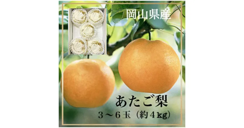 【ふるさと納税】岡山県産　あたご梨3～6玉（合計約4kg）化粧箱入り　EE-62