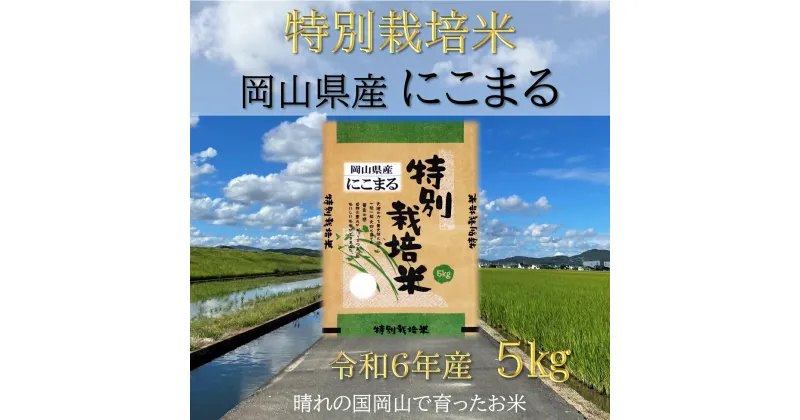 【ふるさと納税】【お米　特別栽培米　特Aランク】岡山県産「にこまる」5kg（令和6年産）SS-126