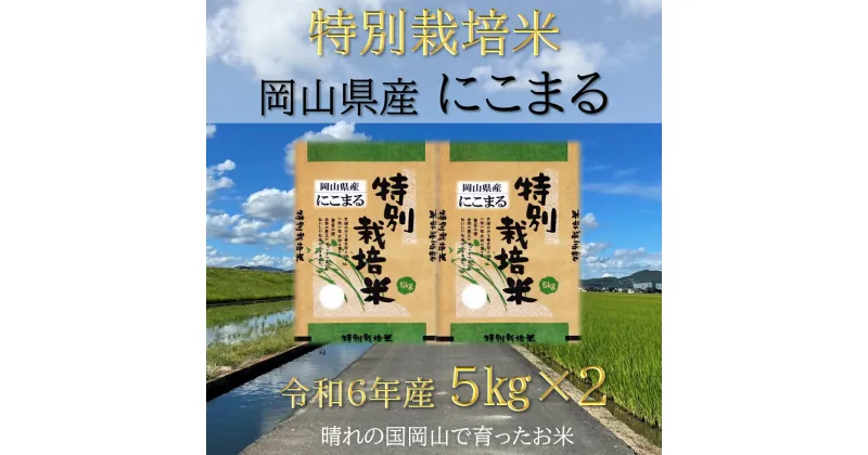 【ふるさと納税】【お米　特別栽培米　特Aランク】岡山県産「にこまる」10kg（令和6年産）Cz-6