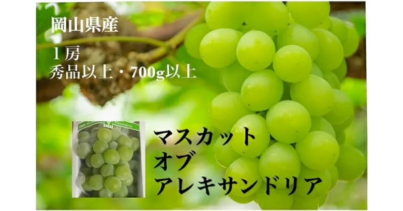 【ふるさと納税】【令和7年発送・先行予約】岡山県産　マスカットオブアレキサンドリア（700g以上・秀品以上）1房　化粧箱入り　Cz-8　※北海道・沖縄県・離島への配送はできません。