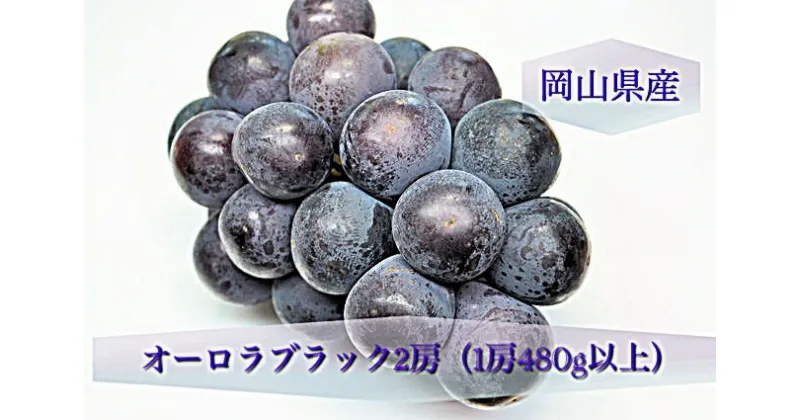 【ふるさと納税】【令和7年発送・先行予約】岡山県産 オーロラブラック2房（1房480g以上）化粧箱入り BS-20