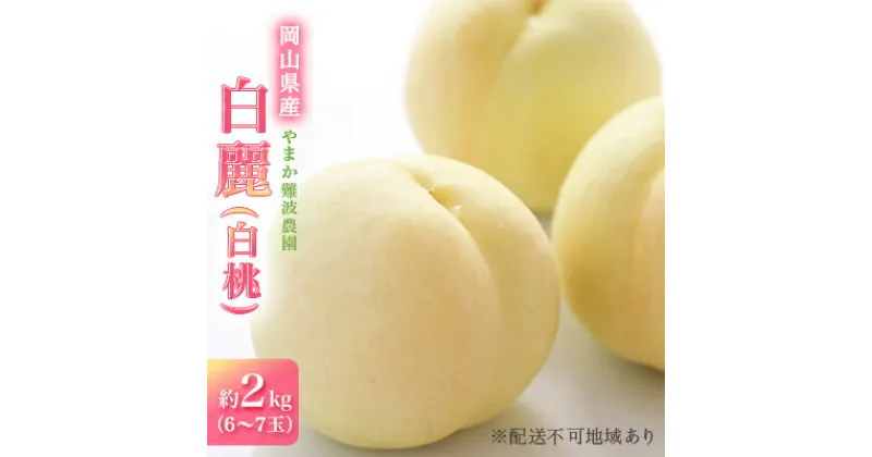 【ふるさと納税】桃 【 2025年 先行予約 】 岡山県産 白麗 （ 白桃 ） 約2kg（6～7玉） 白桃 岡山 はくとう フルーツ 果物 先行予約 数量限定 期間限定 里庄町 モモ もも 　里庄町　お届け：2025年8月上旬～2024年8月中旬