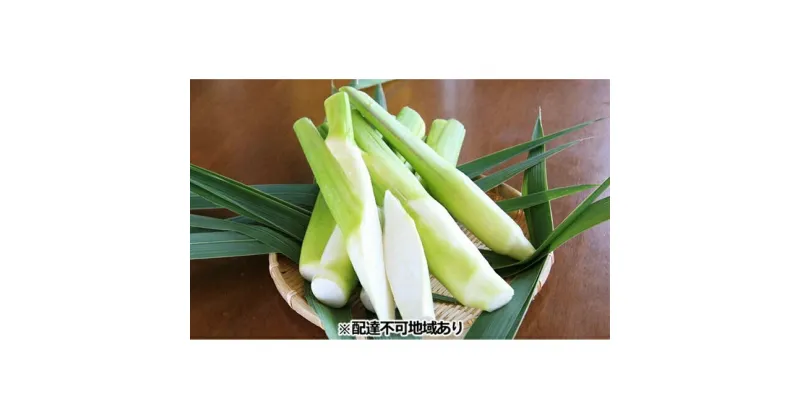 【ふるさと納税】里庄まこもたけ真空パック【150g×7袋】　野菜・まこもたけ・マコモダケ・真空パック　お届け：準備でき次第、順次発送いたします。