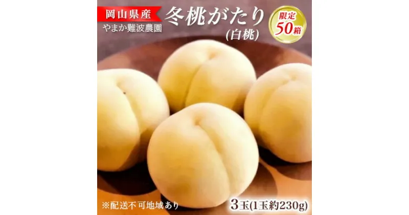 【ふるさと納税】【限定50箱】冬桃がたり（白桃）約230g×3玉 岡山県 フルーツ もも 桃 モモ ピーチ 人気 新鮮 フルーツ 桃 デザート フルーツ もも モモ ギフト くだもの 桃 もも 果物 桃 もも やまか難波農園　里庄町　お届け：2024年11月中旬～2024年11月下旬