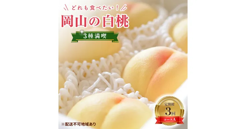 【ふるさと納税】【2025年先行予約】 桃 岡山県産 どれも食べたい！岡山の桃 3種 満喫 プラン 3回 コースA ( 日川白鳳 ・ 白鳳 ・ 瀬戸内白桃 各1.5kg)《2025年6月上旬-8月下旬頃出荷》白桃 数量限定 期間限定 定期便　定期便　お届け：2025年6月上旬～8月下旬