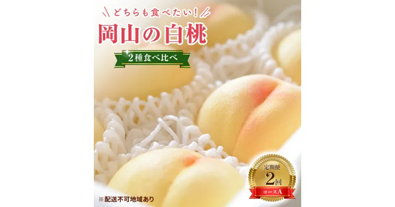 【ふるさと納税】【2025年 先行予約】桃 岡山県産 岡山 白桃 2種 食べ比べ プラン 2回 コースA ( 白鳳 ・ 清水白桃 各1.5kg) 《2025年7月上旬-8月上旬頃出荷》 白桃 岡山 数量限定 期間限定 岡山 里庄町 モモ もも 桃　定期便・里庄町　お届け：2025年7月上旬～2025年8月上旬