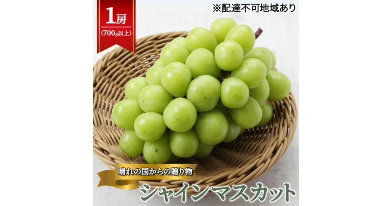 【ふるさと納税】【2025年先行予約】 ぶどう 岡山県産 晴れの国からの 贈り物 シャインマスカット 1房（700g以上） 《2025年9月上旬-10月中旬頃出荷》 葡萄 ブドウ フルーツ 果物 スイーツ 数量限定 期間限定 岡山 里庄町　里庄町　お届け：2025年9月上旬～2025年10月中旬