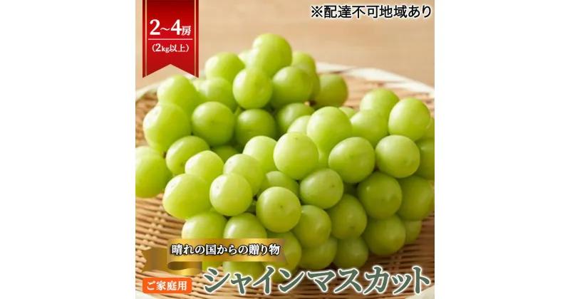 【ふるさと納税】【2025年先行予約】【ご家庭用】 ぶどう 岡山県産 晴れの国からの 贈り物 シャインマスカット 2kg以上（2房～4房） 《2025年9月上旬-10月中旬頃出荷》 葡萄 フルーツ 果物 スイーツ 数量限定 期間限定 岡山 里庄町　お届け：2025年9月上旬～10月中旬