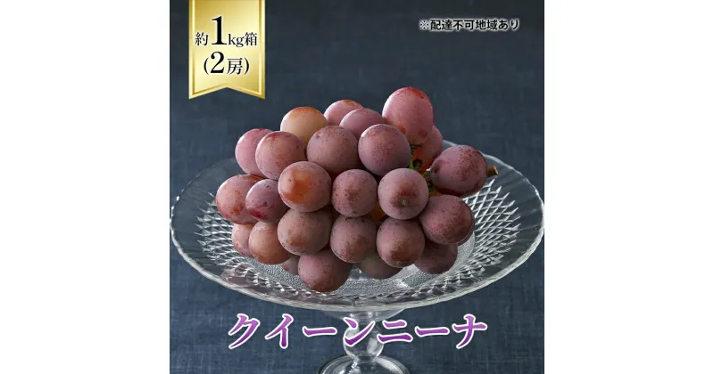 【ふるさと納税】【2025年先行予約】 ぶどう 岡山県産 クイーンニーナ 1kg箱（2房） 《2025年8月下旬-9月下旬頃出荷》 葡萄 ブドウ 岡山県産 フルーツ 果物 スイーツ 数量限定 期間限定 岡山 里庄町 ブドウ ぶどう 葡萄　里庄町　お届け：2025年8月20日～2025年9月30日