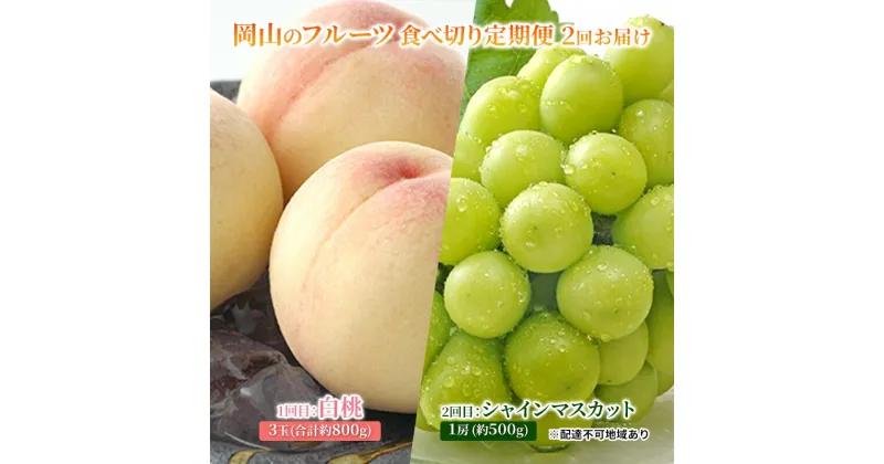 【ふるさと納税】フルーツ 2025年 岡山のフルーツ 食べ切り 定期便 白桃 3玉 合計約800g／シャイン マスカット 1房 約500g もも 葡萄 ブドウ 岡山県産 フルーツ シャインマスカット 桃 果物 旬 定期便　定期便・里庄町　お届け：2025年7月上旬～2025年9月下旬