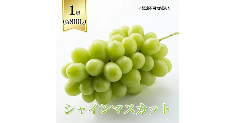 【ふるさと納税】【2025年先行予約】 ぶどう 岡山県産 シャインマスカット 1房箱（約800g） 《2025年10月中旬-11月下旬頃出荷》 葡萄 ブドウフルーツ 果物 スイーツ 数量限定 期間限定 岡山 里庄町 ブドウ ぶどう 葡萄　お届け：2025年10月中旬～2025年11月30日