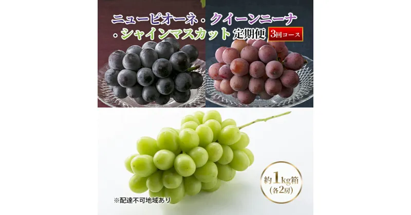 【ふるさと納税】【定期便】【2025年先行予約】 ぶどう 岡山県産 ニューピオーネ ・ クイーンニーナ ・ シャインマスカット 1kg箱（各2房） 定期便 3回 《2025年8月下旬-10月中旬頃出荷》 葡萄 ブドウ フルーツ 果物　定期便　お届け：2025年8月下旬～2025年10月中旬