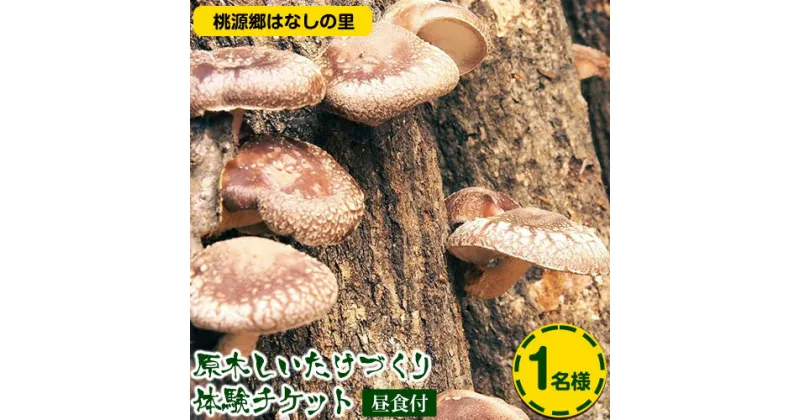 【ふるさと納税】原木しいたけづくり体験チケット(昼食付) 1名様 桃源郷はなしの里 岡山県矢掛町《30日以内に出荷予定(土日祝除く)》