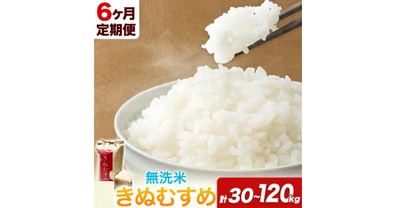 【ふるさと納税】【6ヶ月定期便】 令和6年産 米 岡山県産 きぬむすめ 無洗米 選べる 5kg 10kg 15kg 20kg ありがとう園《お申込み月の翌月から出荷開始》岡山県 矢掛町 無洗米 米 コメ 一等米 定期便 定期