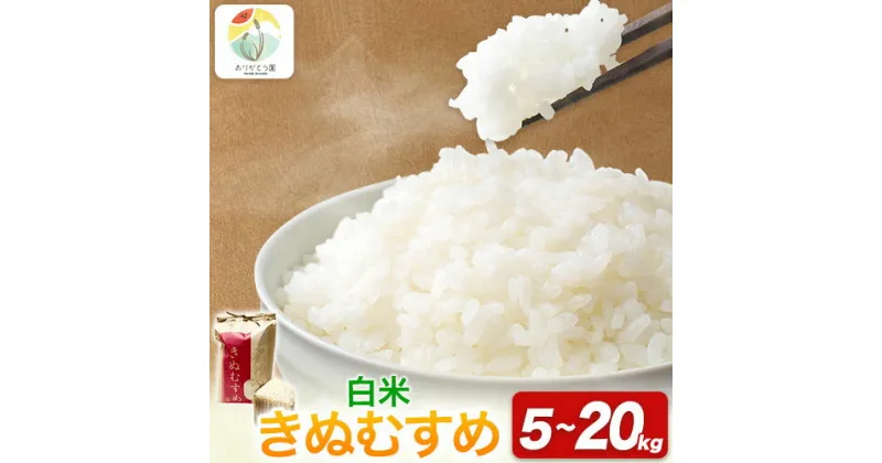 【ふるさと納税】 令和6年産 米 岡山県産 きぬむすめ 白米 選べる 5kg 10kg 15kg 20kg ありがとう園《30日以内に出荷予定(土日祝除く)》岡山県 矢掛町 米 コメ 一等米