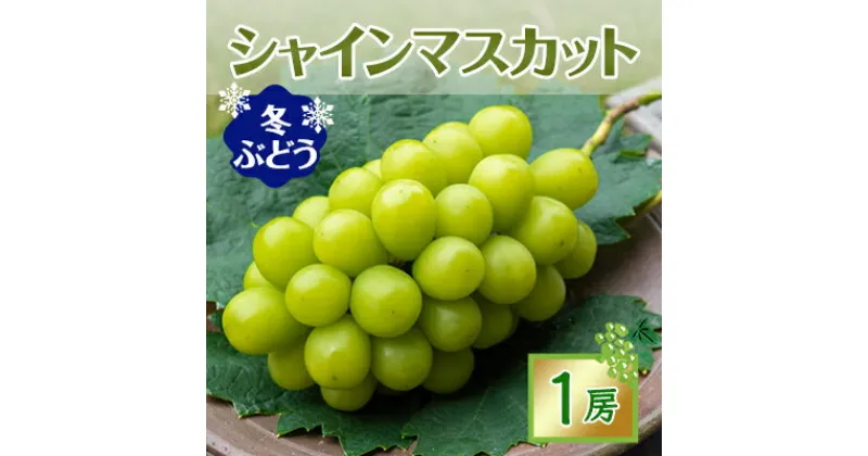 【ふるさと納税】2127.【冬ぶどう】シャインマスカット 1房(約650g以上)【配送不可地域：離島】【1488988】