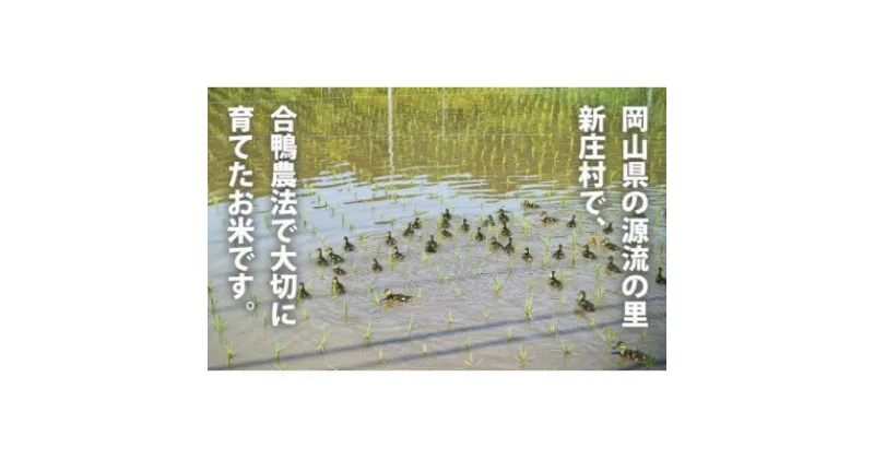 【ふるさと納税】3002.【新米】令和6年産 有機愛ガモ米5Kg(玄米コシヒカリ 有機うるち玄米)【1489811】